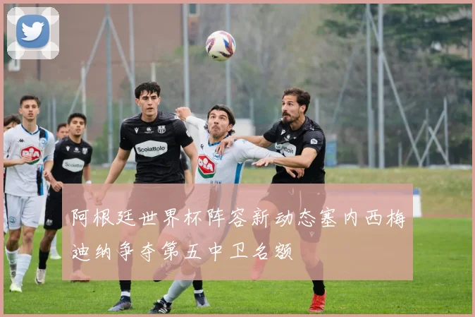 阿根廷世界杯阵容新动态塞内西梅迪纳争夺第五中卫名额