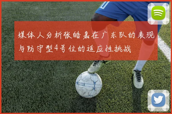 媒体人分析张皓嘉在广东队的表现与防守型4号位的适应性挑战