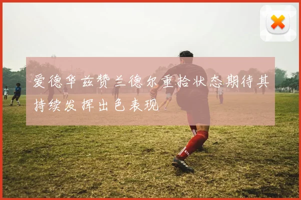 爱德华兹赞兰德尔重拾状态期待其持续发挥出色表现