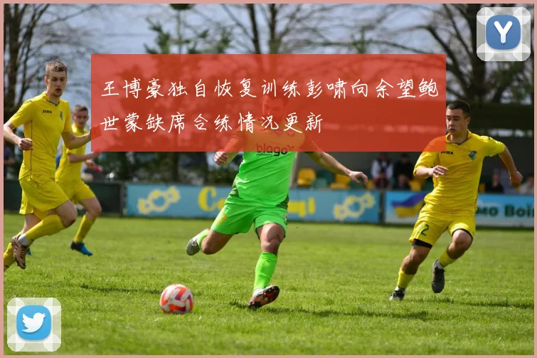 王博豪独自恢复训练彭啸向余望鲍世蒙缺席合练情况更新